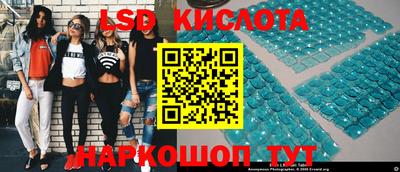 spice Славгород