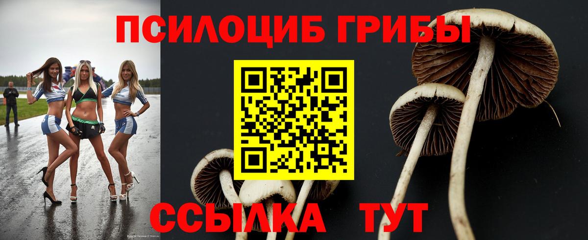 Псилоцибиновые грибы Cubensis  Псилоцибиновые грибы прущие грибы  Вход с VPN  Мурино 
