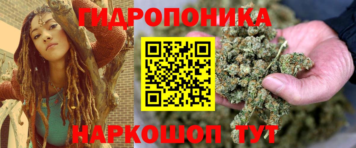 Бошки марихуана конопля  Марихуана SATIVA & INDICA  Каннабис Bruce Banner  Мурино  Вход с VPN  Бошки Шишки конопля 